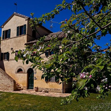 I Ciliegi Bed & Breakfast Osimo Dış mekan fotoğraf