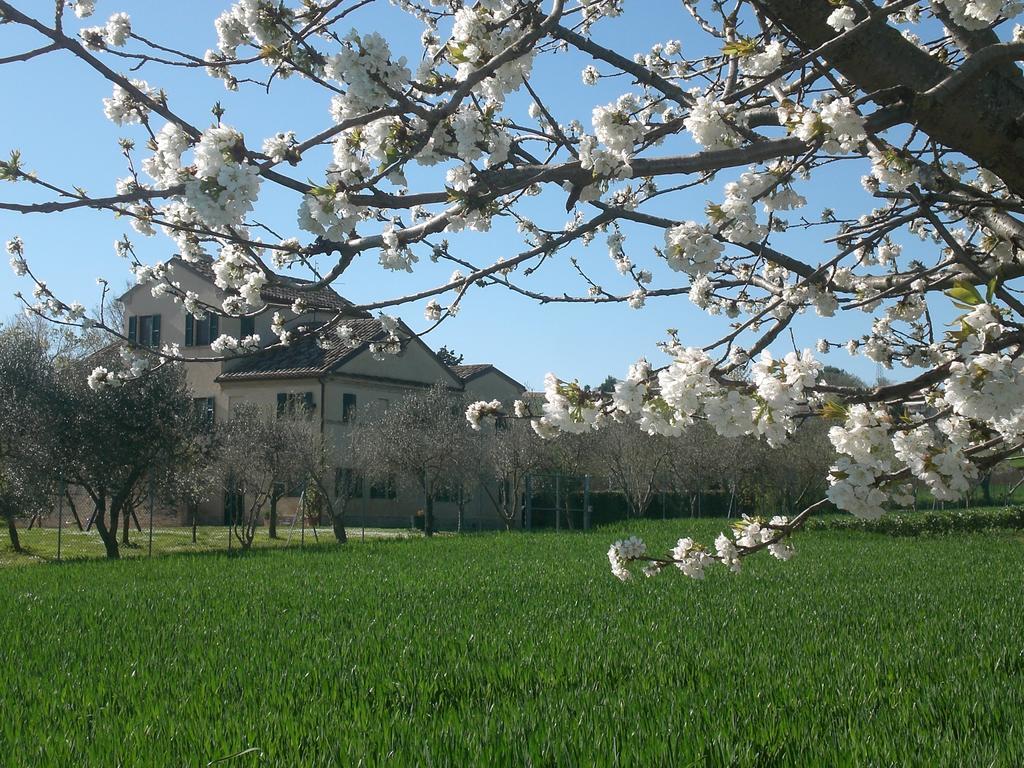 I Ciliegi Bed & Breakfast Osimo Dış mekan fotoğraf