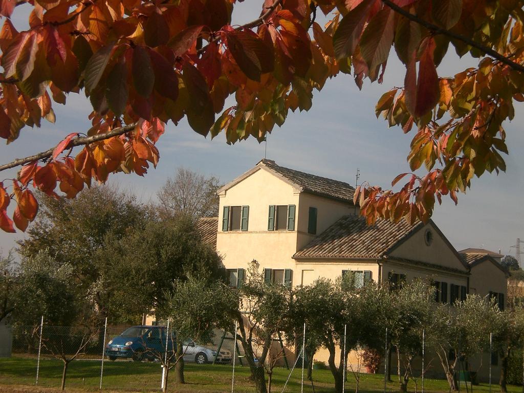 I Ciliegi Bed & Breakfast Osimo Dış mekan fotoğraf