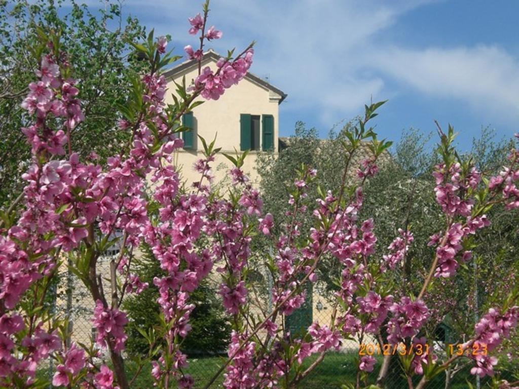 I Ciliegi Bed & Breakfast Osimo Dış mekan fotoğraf