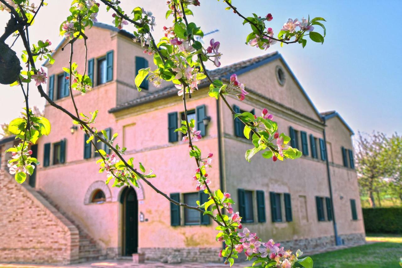 I Ciliegi Bed & Breakfast Osimo Dış mekan fotoğraf