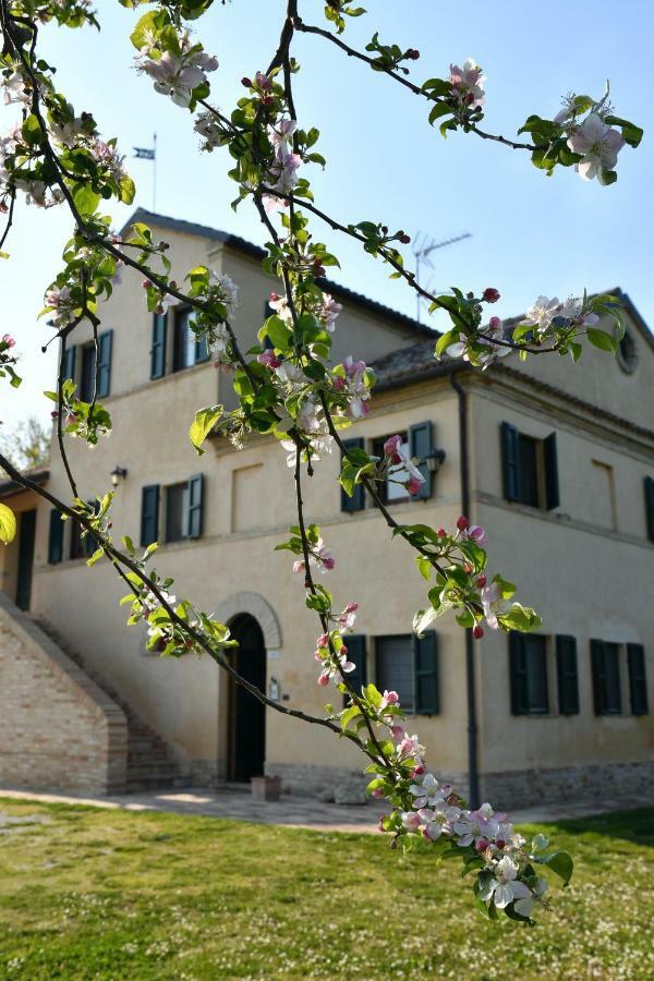 I Ciliegi Bed & Breakfast Osimo Dış mekan fotoğraf