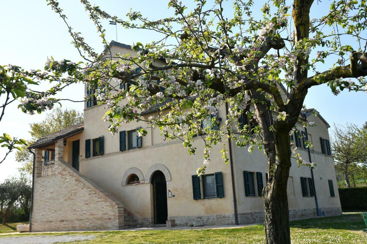 I Ciliegi Bed & Breakfast Osimo Dış mekan fotoğraf